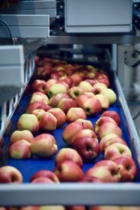 Sistemele frigorifice – Secretul alimentelor proaspete